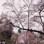 キッチン食堂　城山 - 