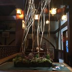 珈琲館 樹里 - なんかちょっと幻想的な植木オブジェ