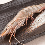 [Recommended] Large shrimp with heads