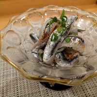 潮り - お通し（カタクチイワシの酢〆）