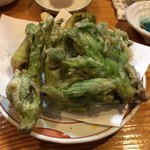 Shunsaichuubou tsurusuke - 山菜の天ぷら盛り合わせは、独活、タラの芽、蕗の薹