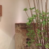 銀座 六覺燈 銀座店  - 
