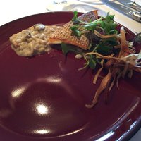 Wattle Tokyo - 