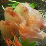 海石 - ２０１８年３月再訪問