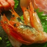 海石 - ２０１８年３月再訪問