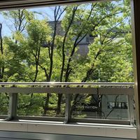蔭山樓 表参道店 - 