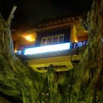 NAHA Harbor Diner - 木の上の様子