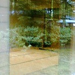 Chashitsu Douji En - 茶室の窓にうつる外観の景色