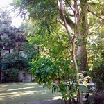 マノワール・ディノ - 