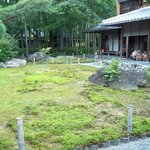 嵯峨野 - 杉苔の緑が映えます