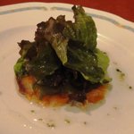 ピジョン - サーモン