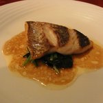 ピジョン - 真鯛のポワレ