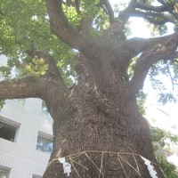 クリマ ディ トスカーナ - 