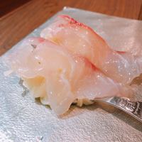 セルサルサーレ - 