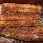鰻はし本 - 鰻重