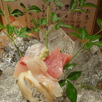 ろっこん - 