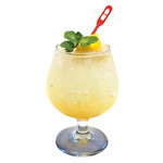 おばんざいバー　博多漁家　しらすくじら - 