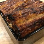 Unagi Kazutomo - 