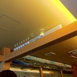 ヤマガタ サンダンデロ - 