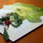 ヤマガタ サンダンデロ - 