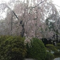 熊魚菴 本店 - 