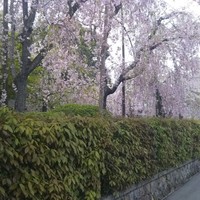 熊魚菴 本店 - 