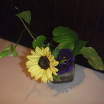 Dan Dada - テーブルには可愛い花