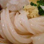 たけうちうどん店 - 麺UP