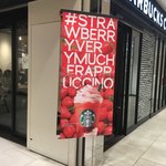 スターバックス・コーヒー - 