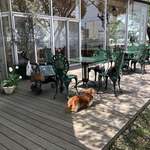 カフェレストラン コルセール - 