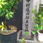 コンヴィヴィアリテ - 