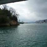 ざこや - お店前の「福本渡船」で向島到着直前の風景。渡し賃大人６０円