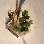 フロリレージュ - 