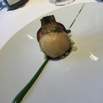 レフェルヴェソンス - 