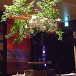 キハチ - トルコ桔梗