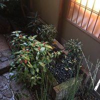 祇園 末友 - 