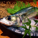 五島的活青花魚[生魚片或芝麻青花魚請品嘗!!︎] (不含1480日元稅)