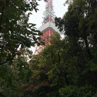 東京 芝 とうふ屋うかい - 