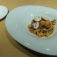 MOTORA  - 
