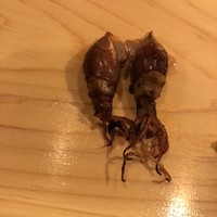 鮨 りんだ - 