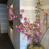 祇をん 豆寅 祇園店 - 