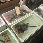 魚寅本店 - 