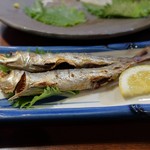 炭火焼 みや澤 - 一本釣ウルメほたれ焼