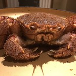 大宮 甲羅本店 - 毛蟹です宜しく