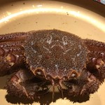 大宮 甲羅本店 - 