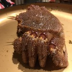 大宮 甲羅本店 - 