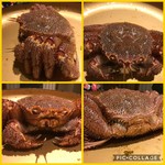 大宮 甲羅本店 - 