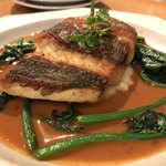 bistro アナログ舎 - 黒鯛（天然、岡山県産）のポワレ アメリケーヌ（オマール海老を煮つめた）ソース 1,300円。