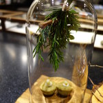 セララバアド - フィトンチッド