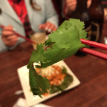 中華酒場 風来坊 - 